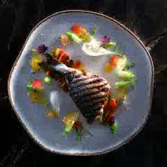 Fish Plate 1